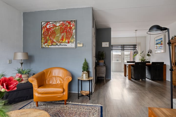 Foto 4 van De Skeauwen 25