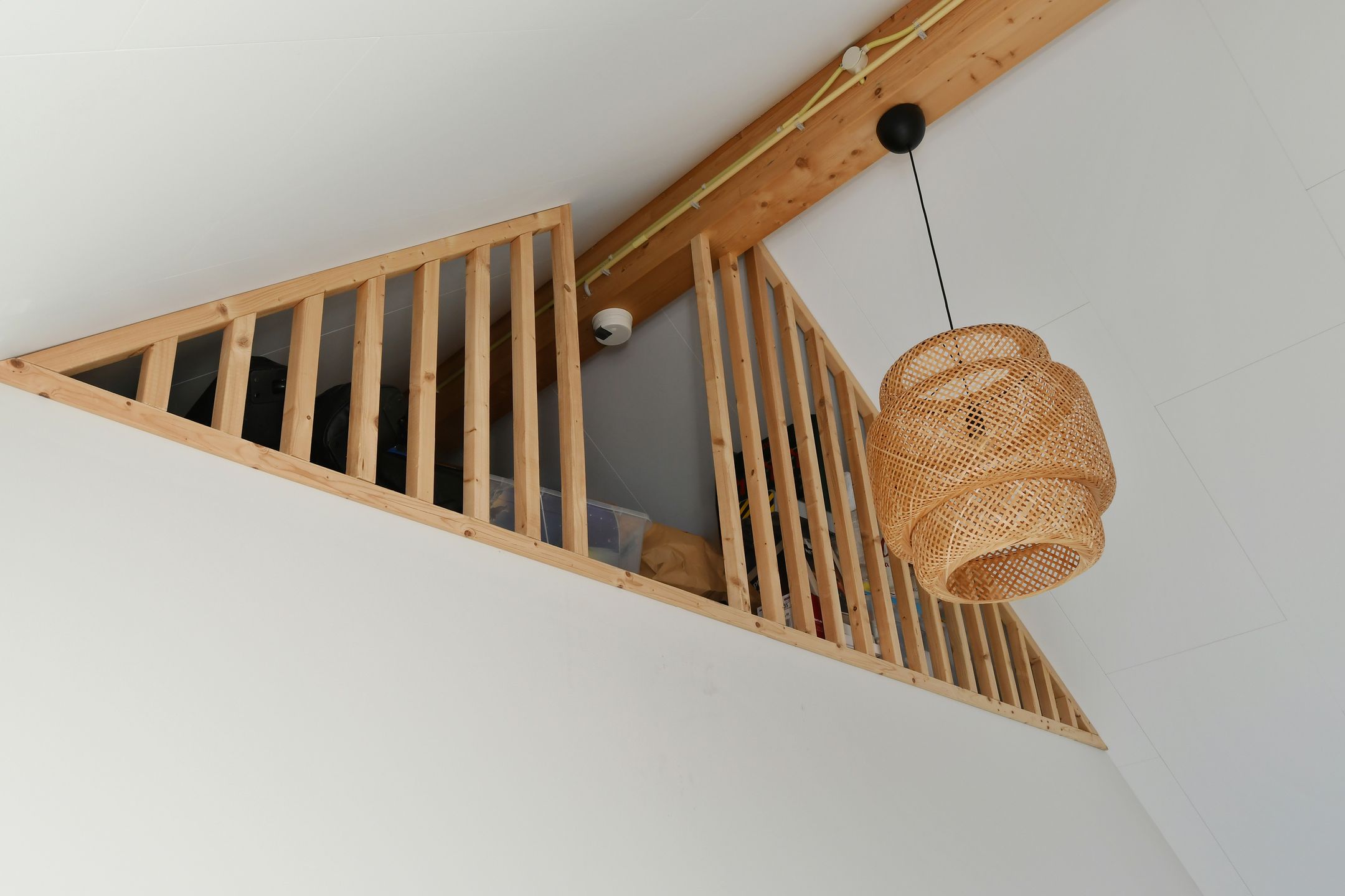 Foto 24 van Honingbij 78