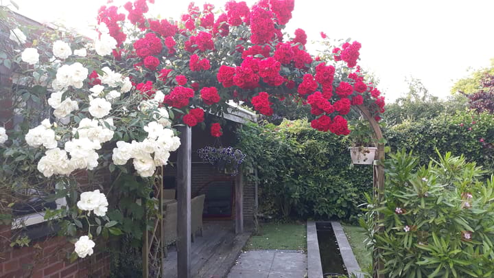 Photo 38 of Louis Beerenbrouckstraat 29