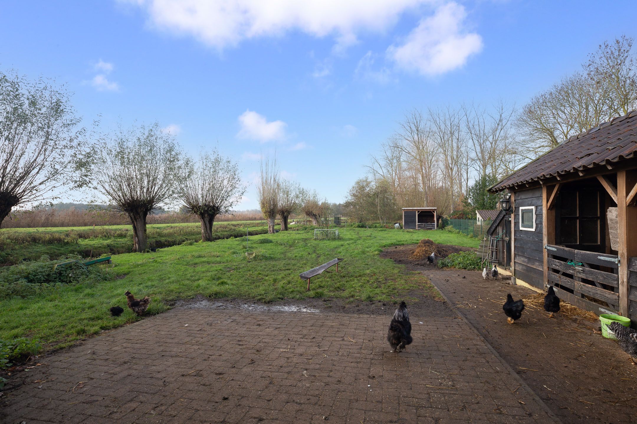 Foto 39 van Schoolstraat 1