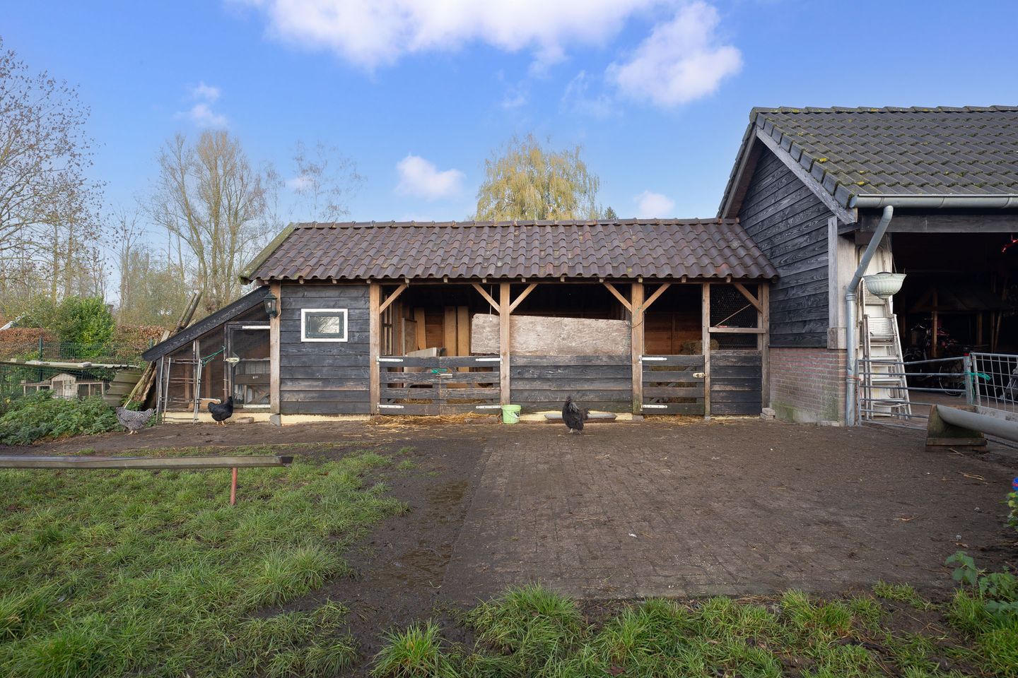 Foto 40 van Schoolstraat 1