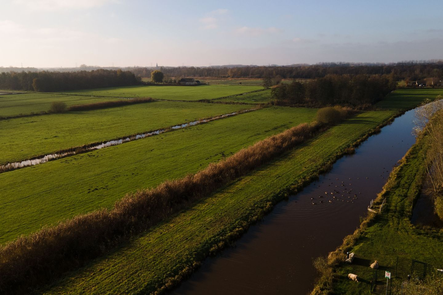 Foto 44 van Schoolstraat 1