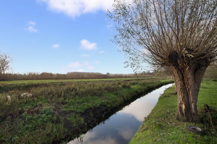 Foto 46 van Schoolstraat 1