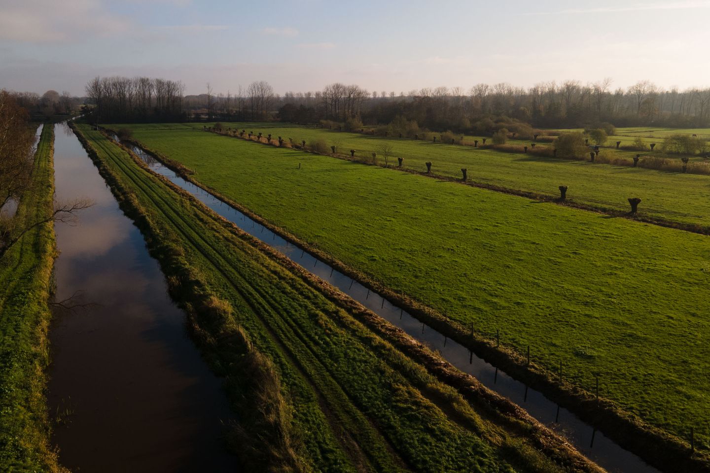 Foto 50 van Schoolstraat 1