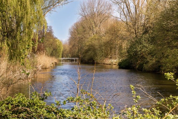 Foto 22 van Frieslandstraat 169