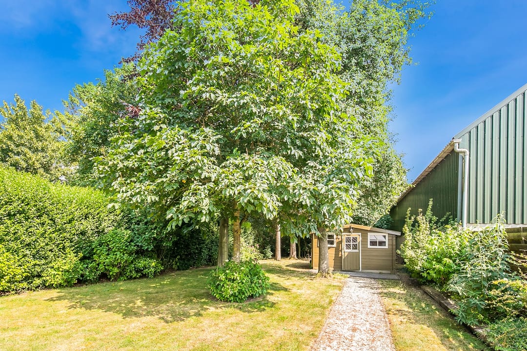 Photo 37 of Wilhelminastraat 113-A