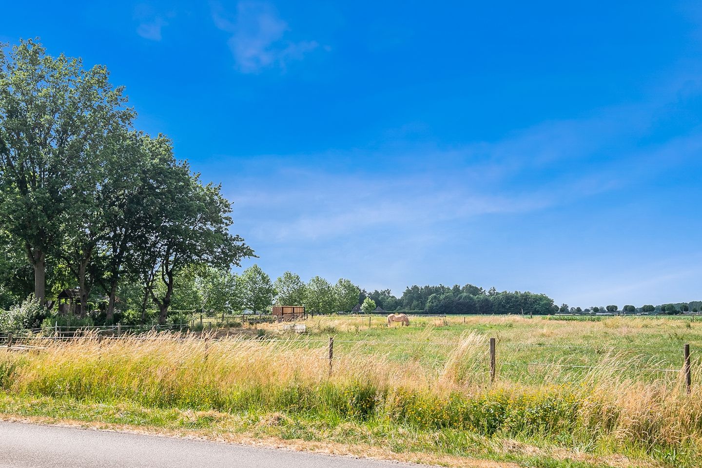 Photo 40 of Wilhelminastraat 113-A