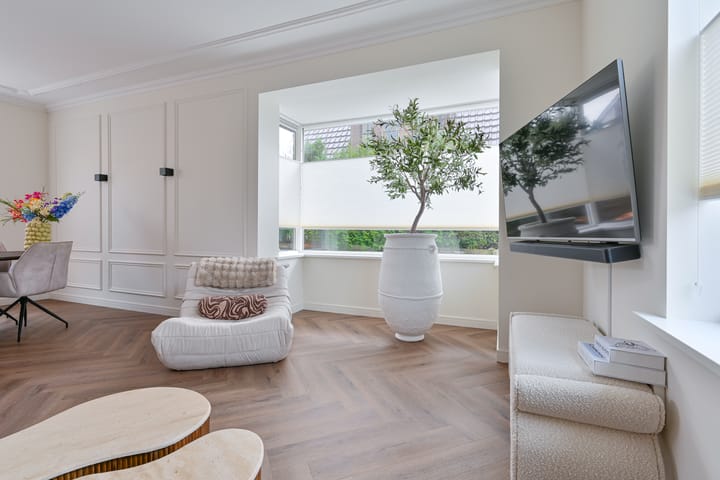 Foto 13 van van Limburg Stirumstraat 105