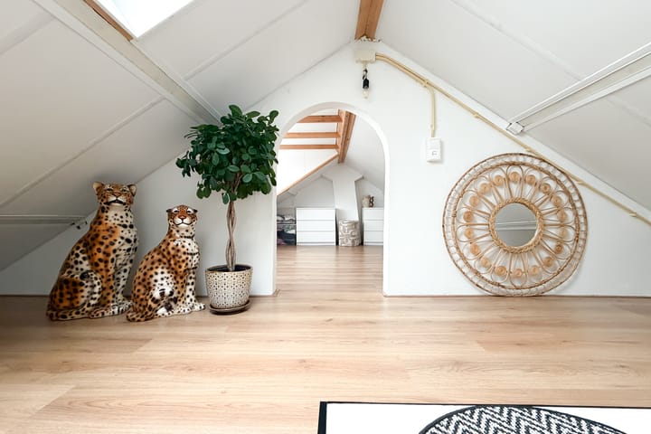 Foto 58 van van Limburg Stirumstraat 105