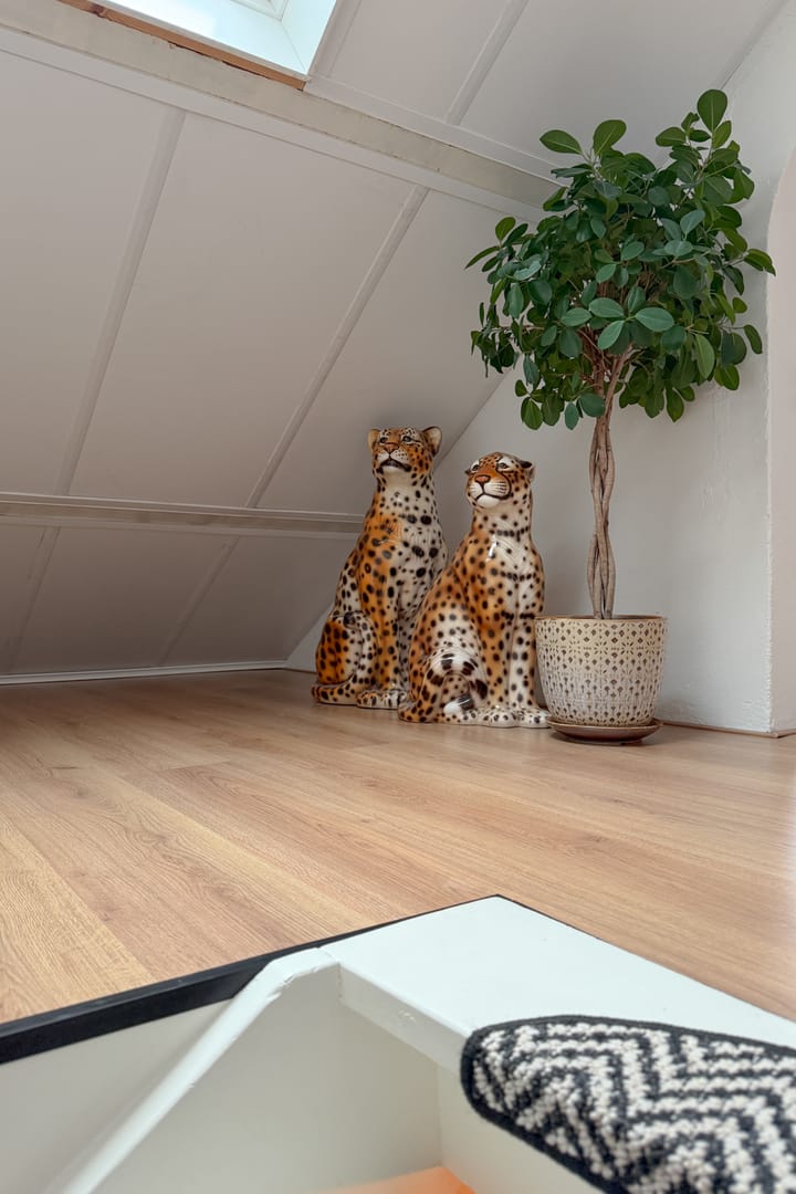 Foto 57 van van Limburg Stirumstraat 105