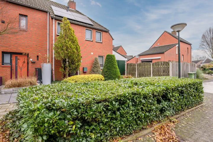 Photo 31 of De Boterbloem 11