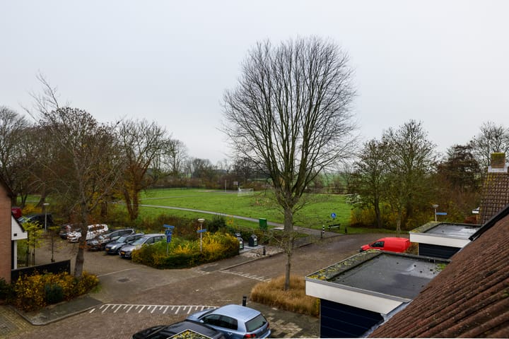 Photo 25 of Ranonkelstraat 15