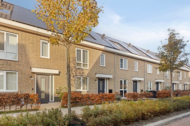 Photo 4 of Anna Ruyschstraat 20