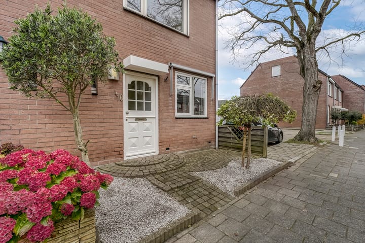 Foto 5 van Paardebloem 10