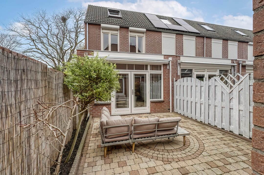 Foto 2 van Paardebloem 10