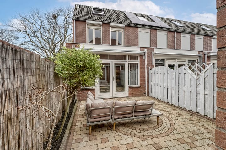 Foto 2 van Paardebloem 10