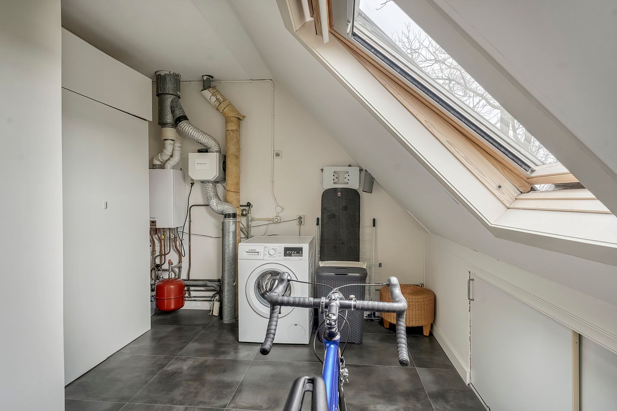 Foto 30 van Paardebloem 10