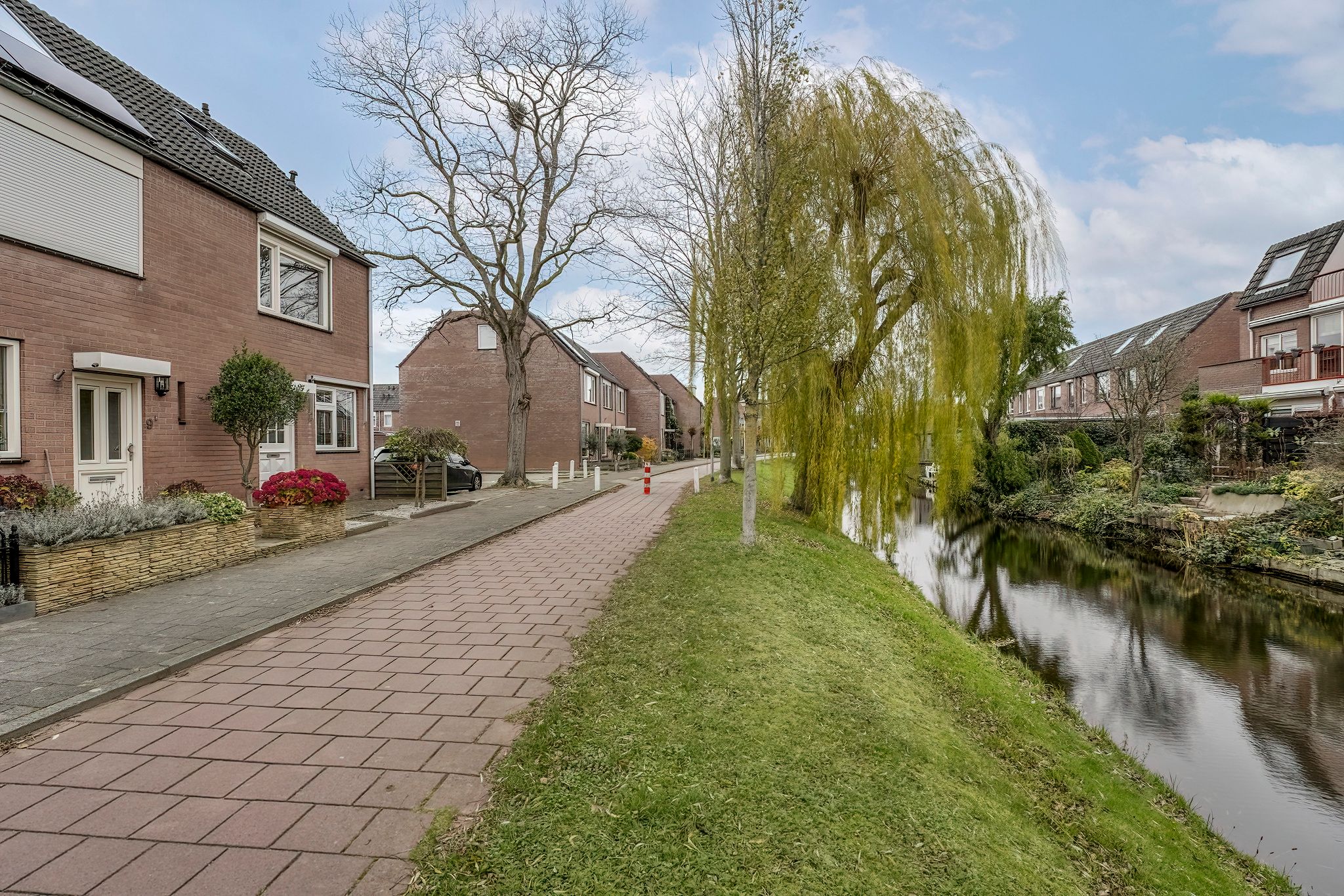 Foto 36 van Paardebloem 10