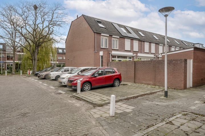 Foto 35 van Paardebloem 10