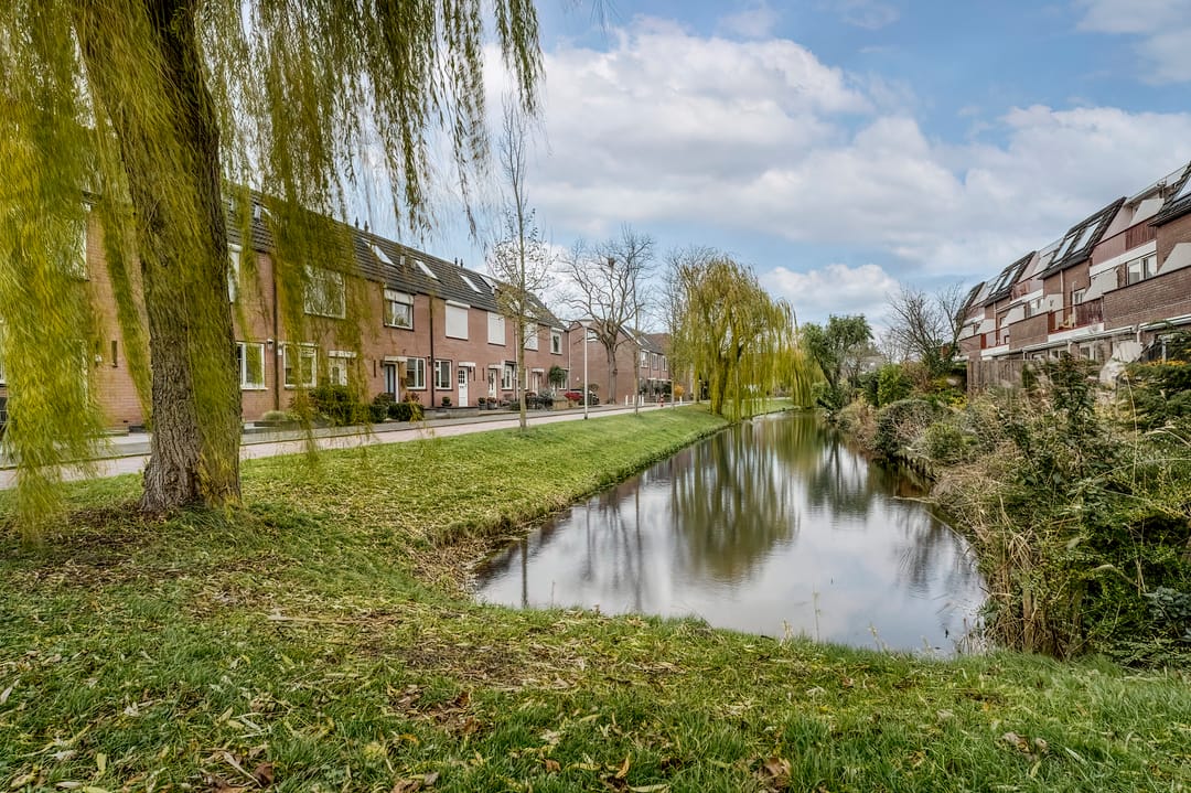 Foto 38 van Paardebloem 10