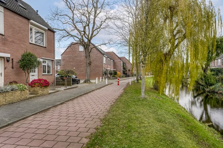 Foto 37 van Paardebloem 10