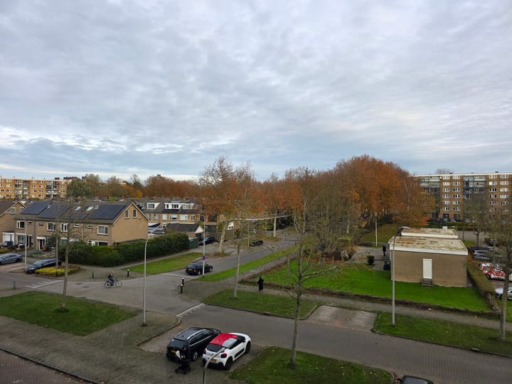 Foto 29 van Plutostraat 102