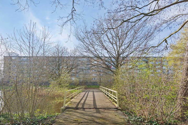 Foto 32 van Plutostraat 102