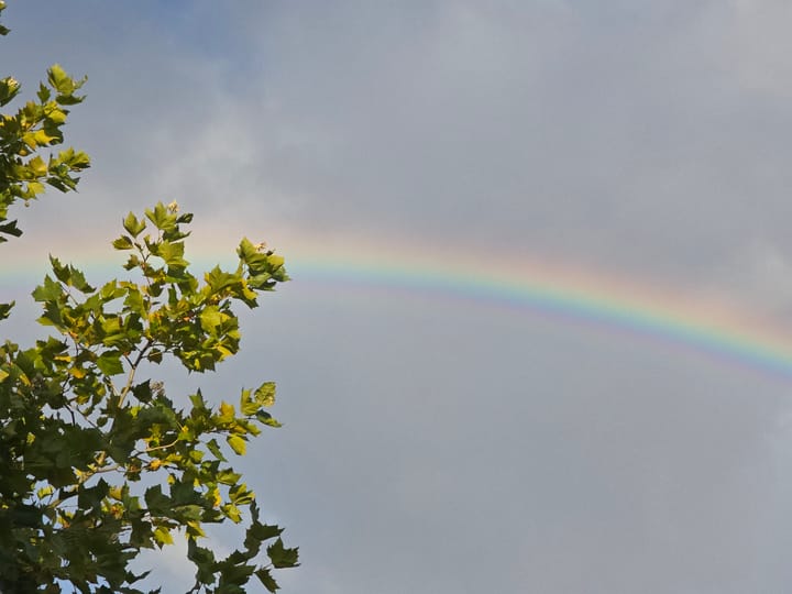 Photo 3 of Van Rijnweg 70