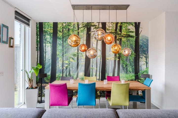 Photo 15 of Van Rijnweg 70