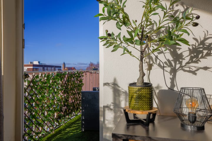 Photo 15 of SUN-plein 35