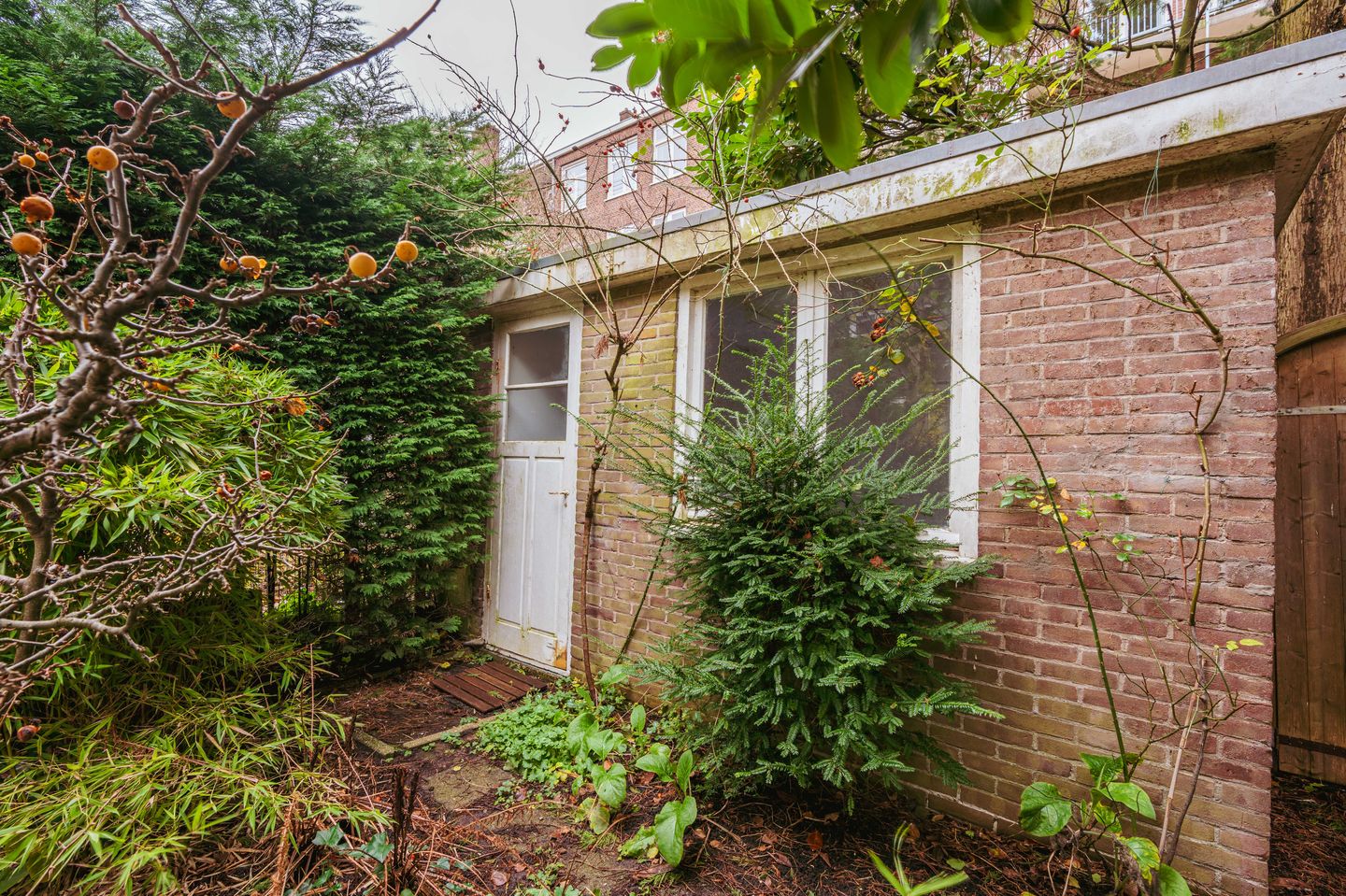 Foto 19 van Raphaëlplein 33-H