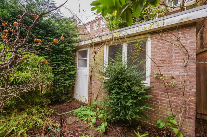 Foto 19 van Raphaëlplein 33-H