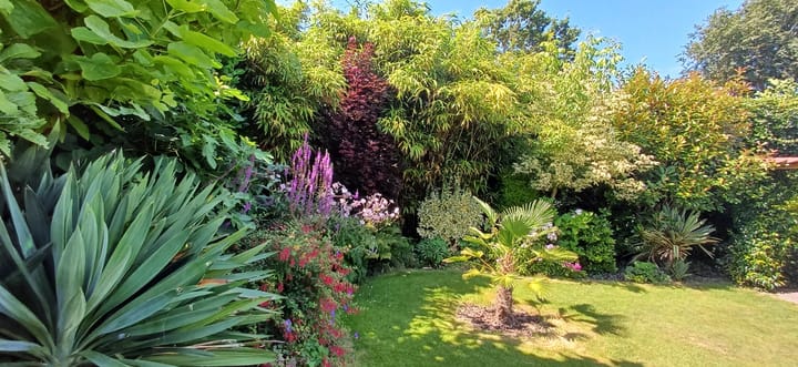 Photo 39 of Frankendaalstraat 6