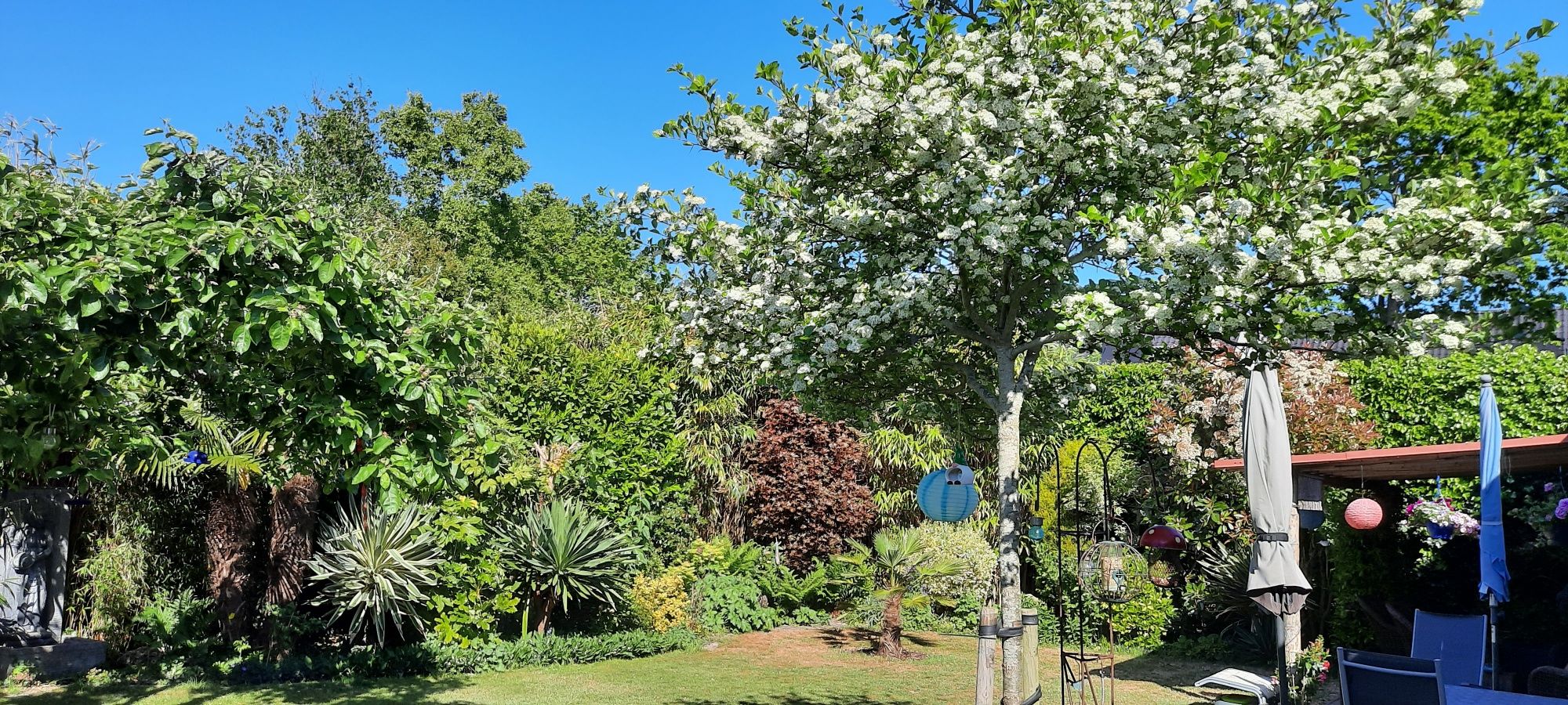 Foto 42 van Frankendaalstraat 6