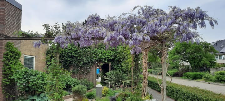 Photo 48 of Frankendaalstraat 6