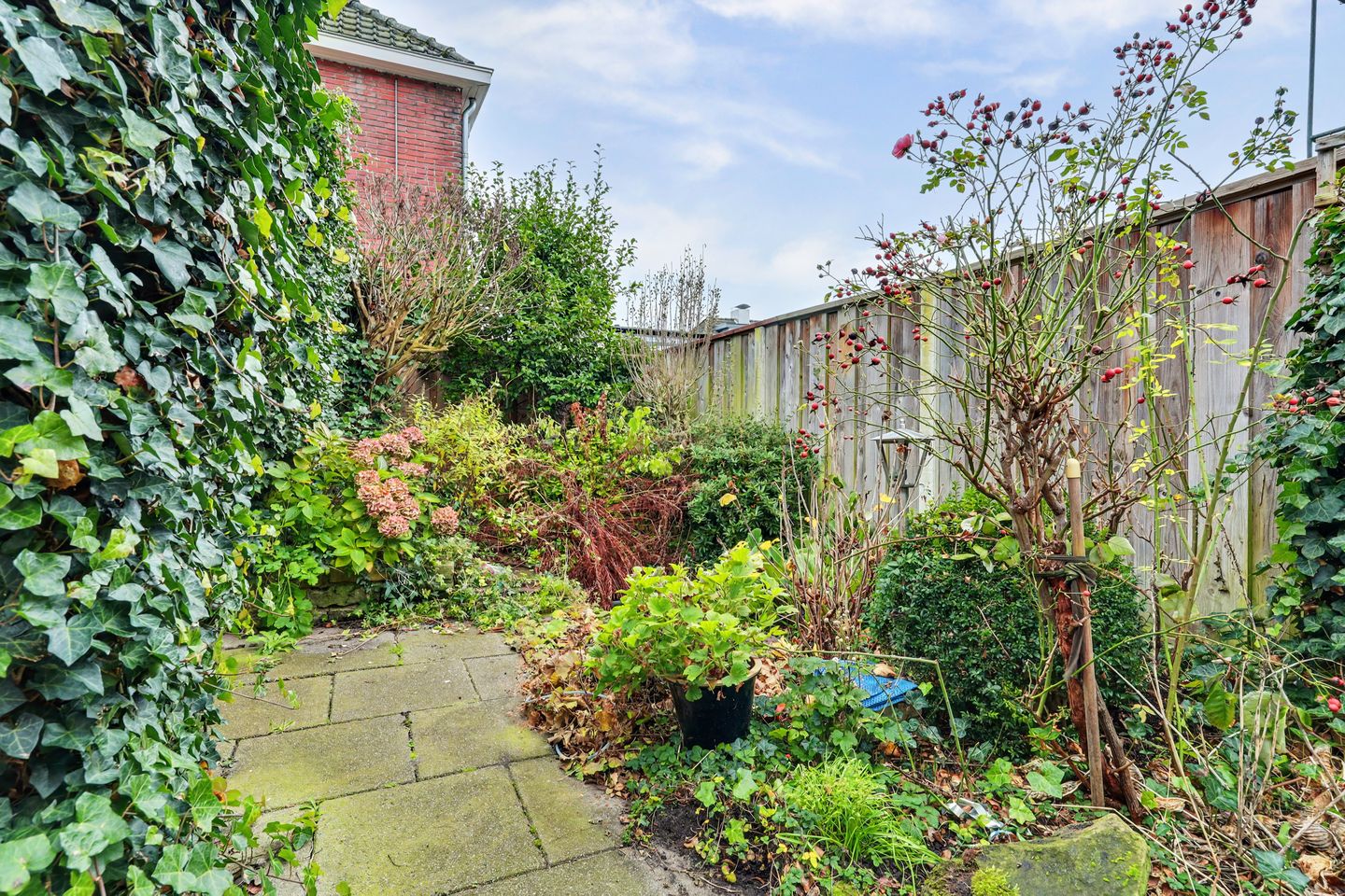 Foto 29 van Van Heutzplein 13