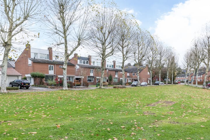 Photo 36 of van Heinsberglaan 36