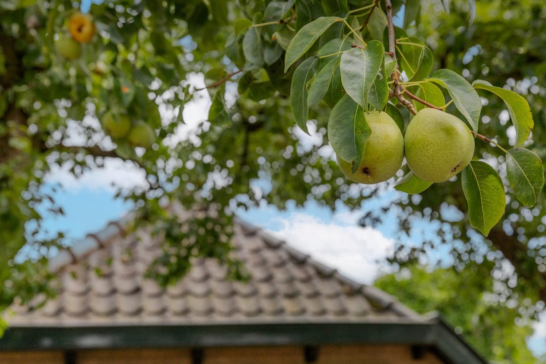 Photo 61 of Groenestraat 5