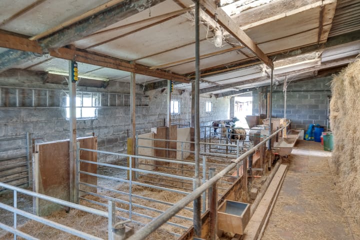 Photo 54 of Broekstraat 2