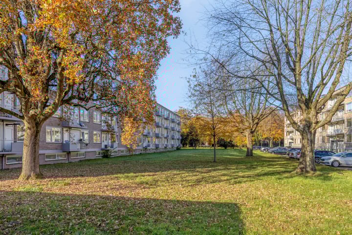 Foto 36 van Europalaan 175