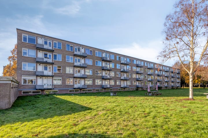 Foto 37 van Europalaan 175