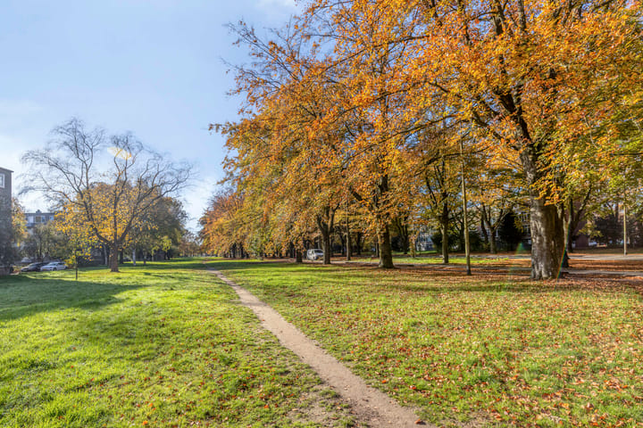 Foto 38 van Europalaan 175