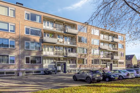 Europalaan thumbnail