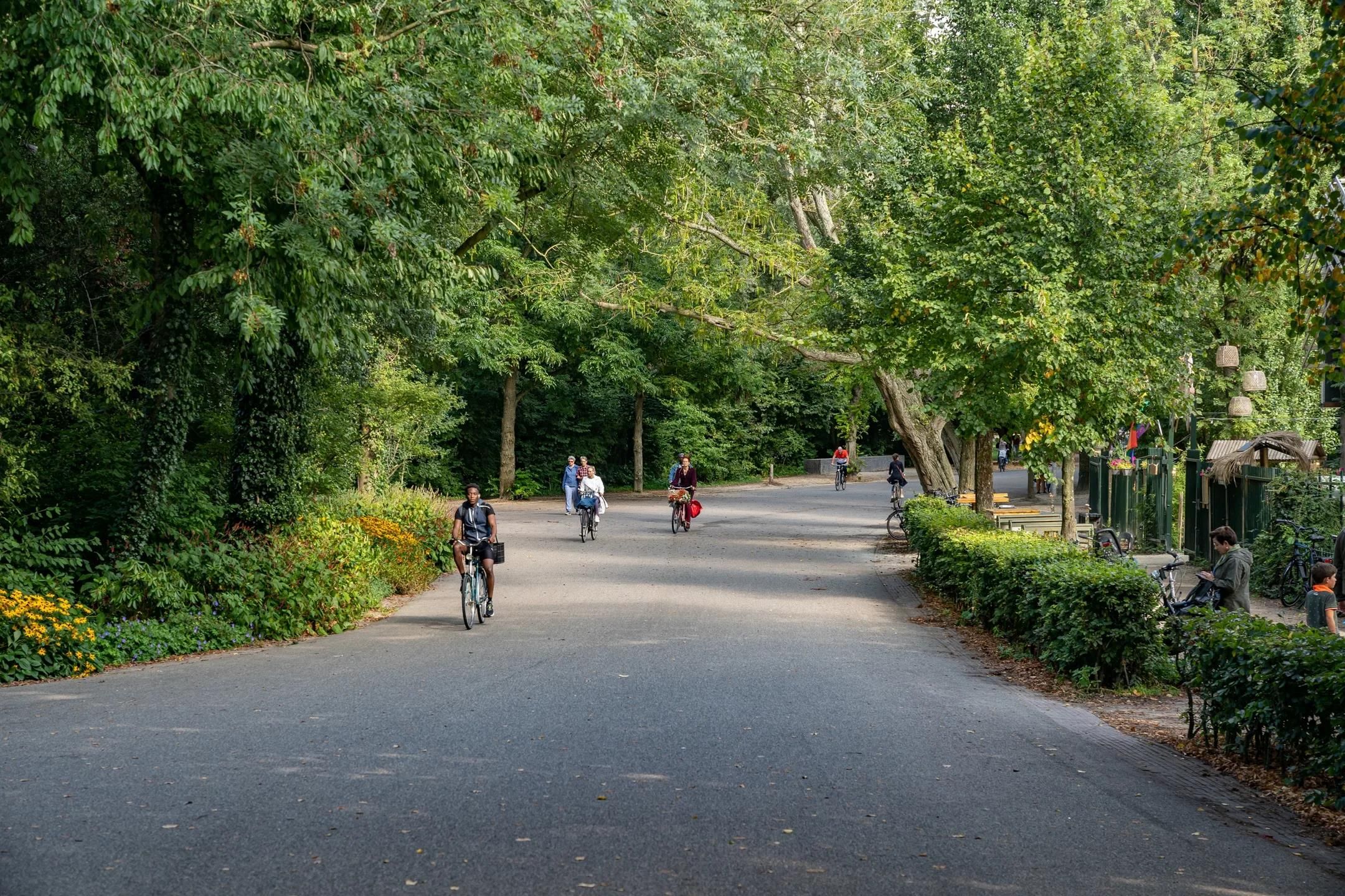 Foto 15 van Eerste Schinkelstraat 12-2