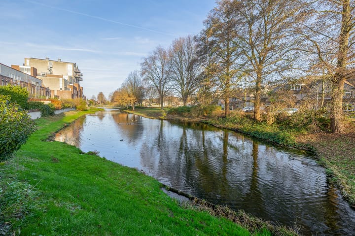 Foto 28 van Gebroeders Daelstraat 25