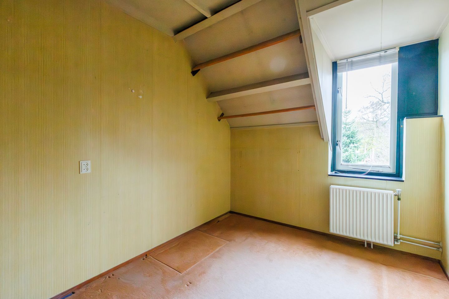 Foto 20 van van der Grijnstraat 9