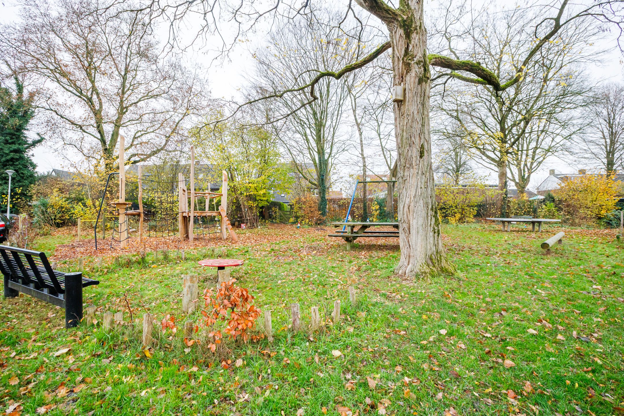 Foto 27 van van der Grijnstraat 9