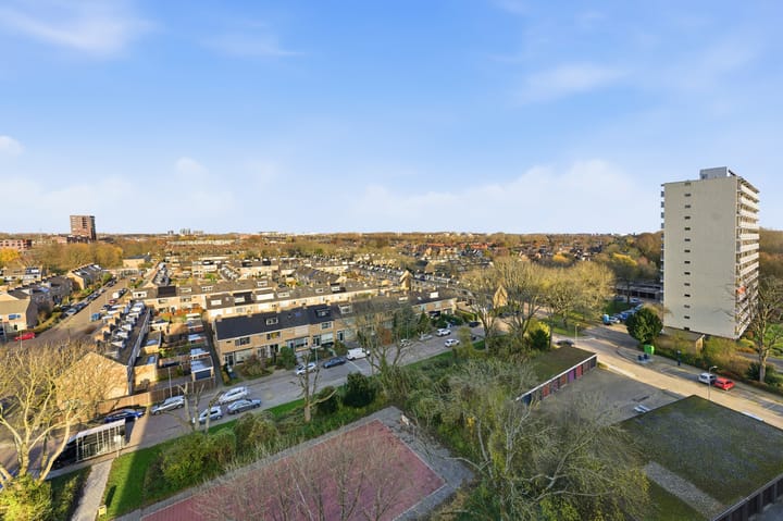 Foto 26 van Kloosplantsoen 387