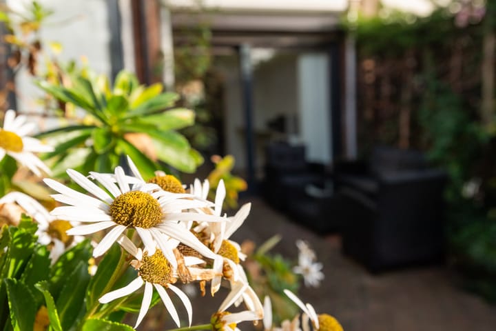 Foto 33 van Mr. Thorbeckestraat 29