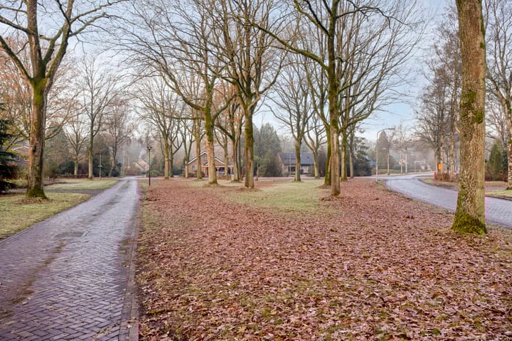 Foto 52 van Banderschulte 7